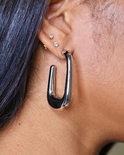 Hooked Earrings